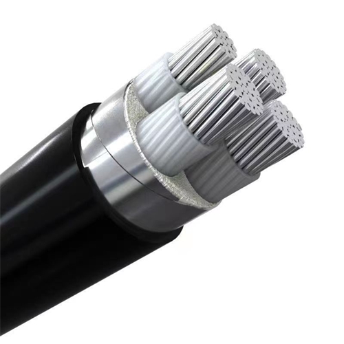 tm288.cn